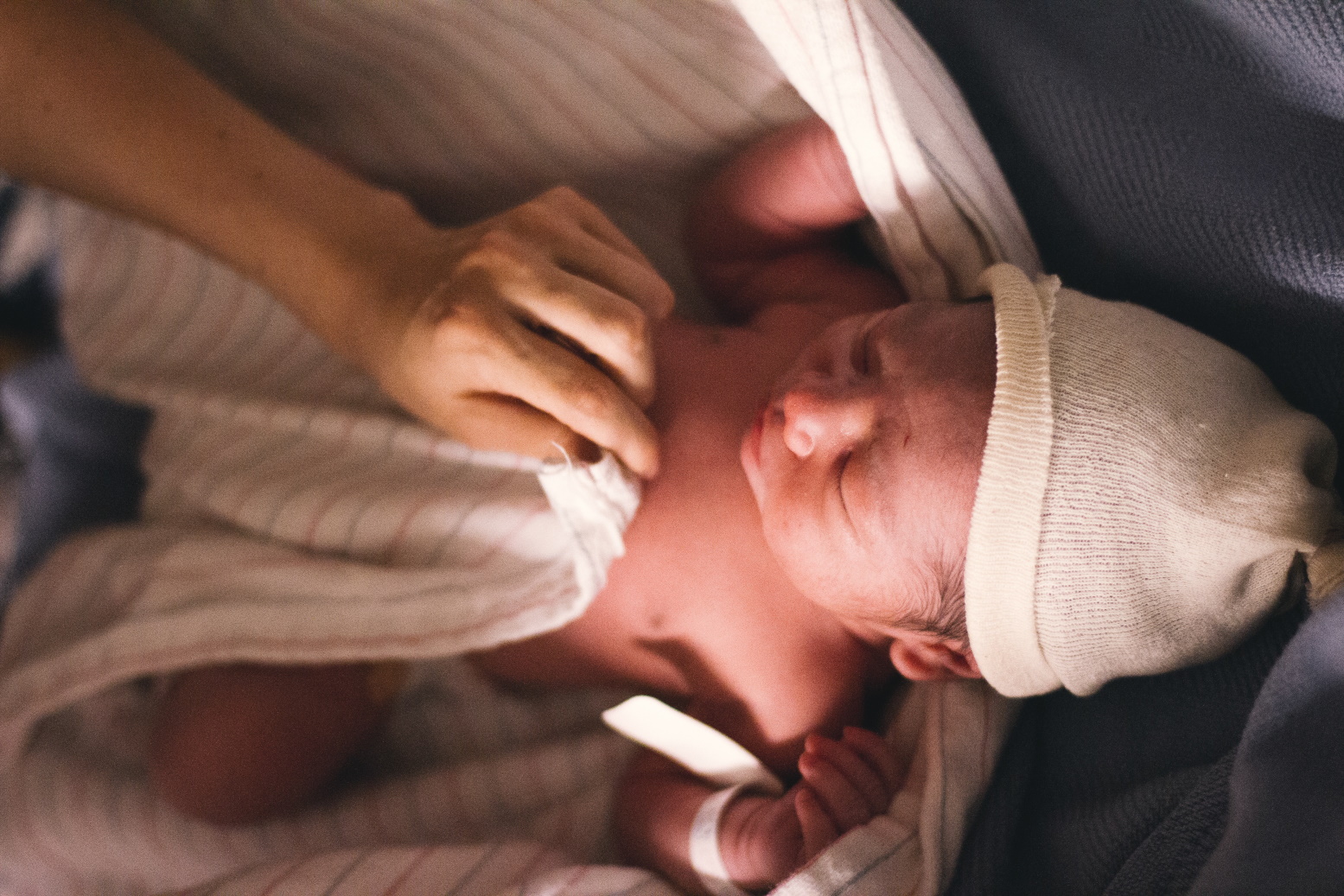 حديثي الولادة-مولود جديد
