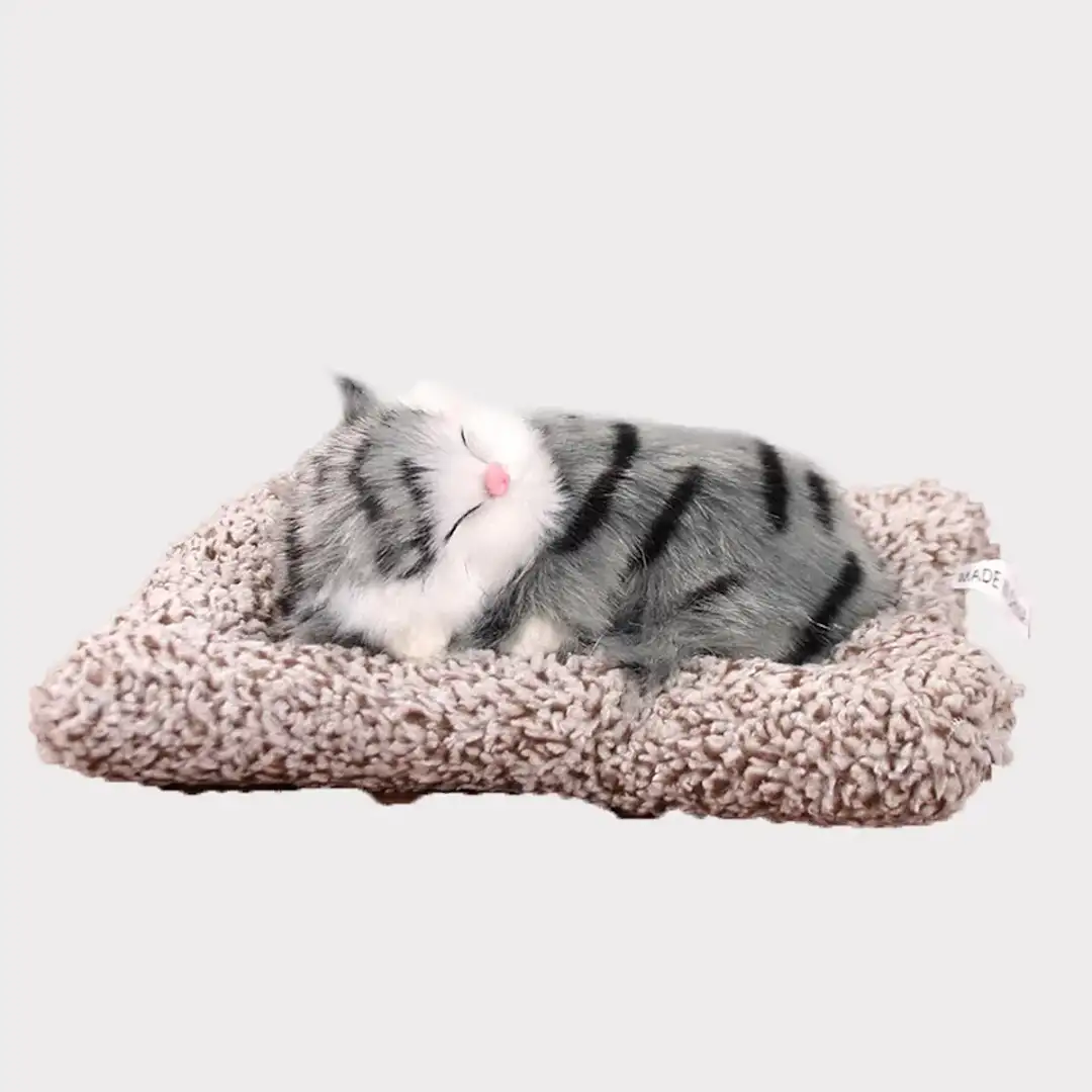 قطة بفراء حقيقي تصدر اصوات