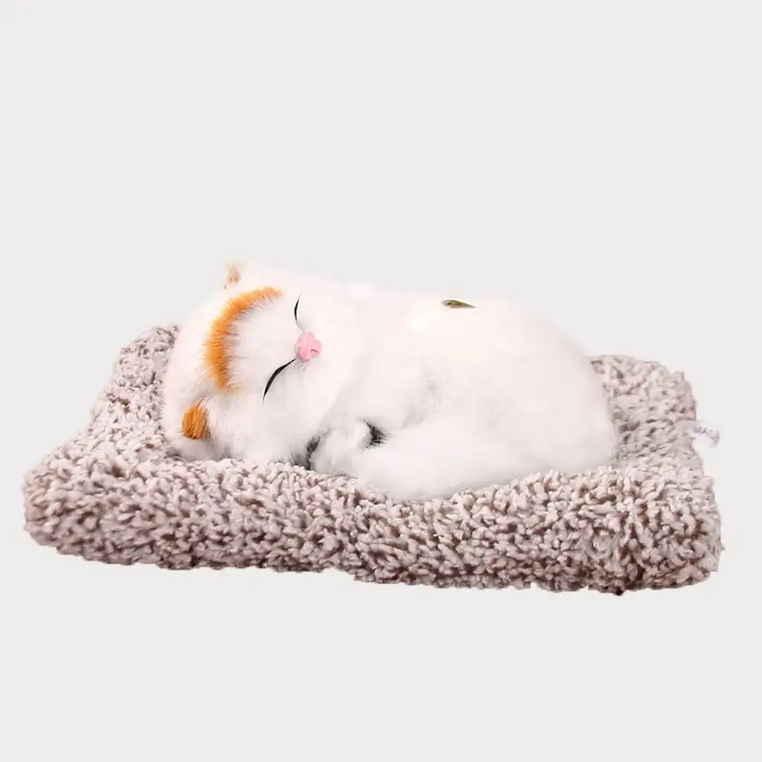 قطة بفراء حقيقي تصدر اصوات